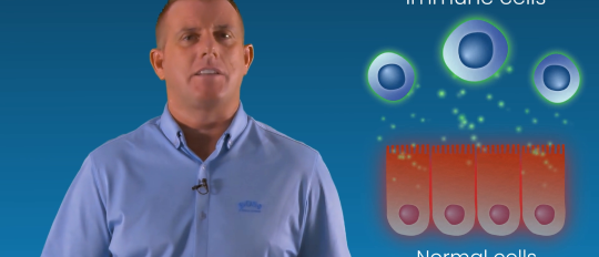 Side effects of immunotherapy